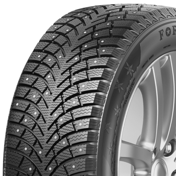 FORTUNE POLARO ICE EV 195/65 R15 95T
